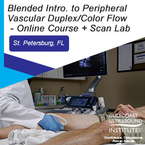  Introduction to Peripheral Vascular Duplex/Color Flow Ultrasound